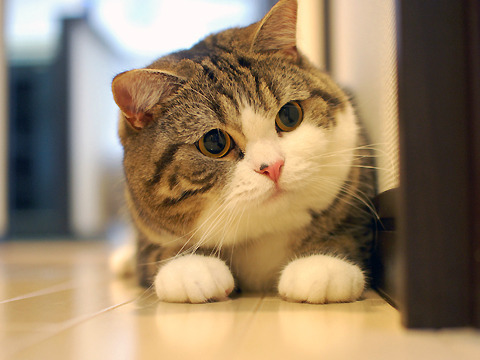 ���Ƕ���û�취