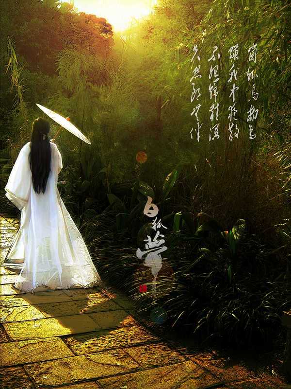 ����ɽ��