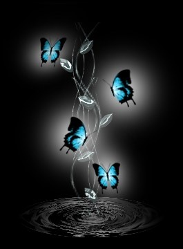 ���к���