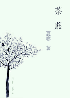 ��Ⴃ�ݱ�£�