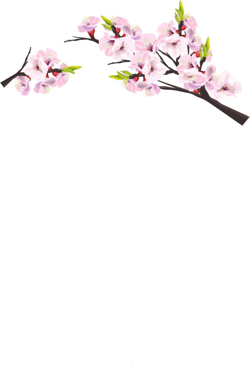 ��ӵ�ұ�֮����