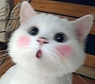 ����������������