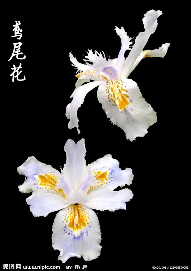 �λ���ˮ������