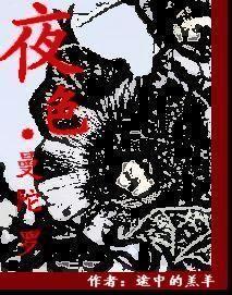 ҹɫ������