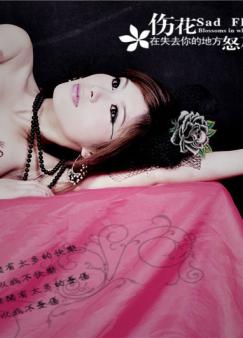 �����鸾