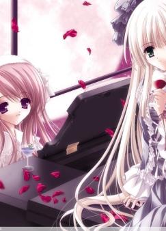 һ������ò���