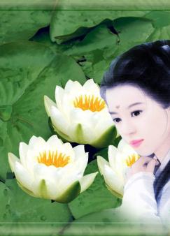 �Ȼ󽭺�¼