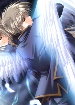 �価������������