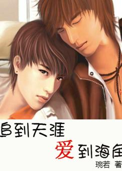 ׷�����İ�������