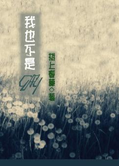 ��Ҳ����gay