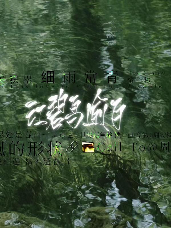 白山茶