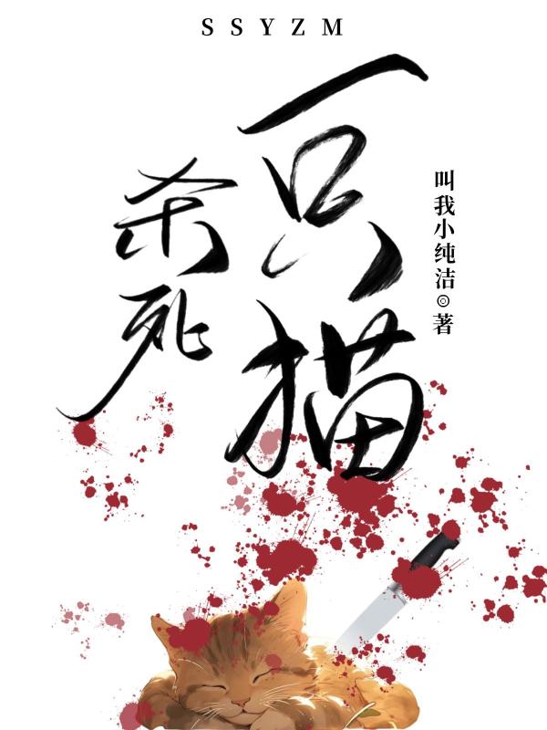 杀死一只猫