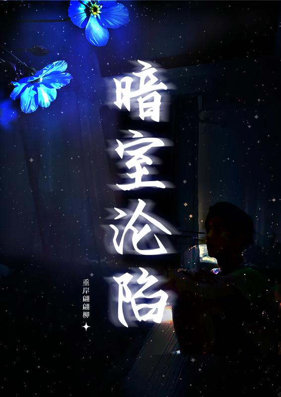 暗室沦陷
