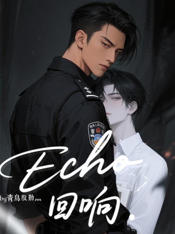 Echo回响