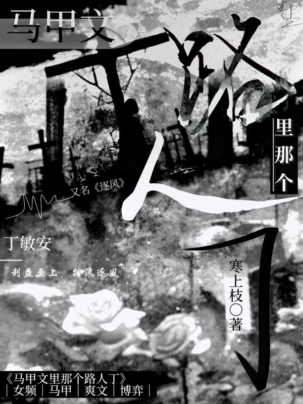 马甲文里那个路人甲（逐风）