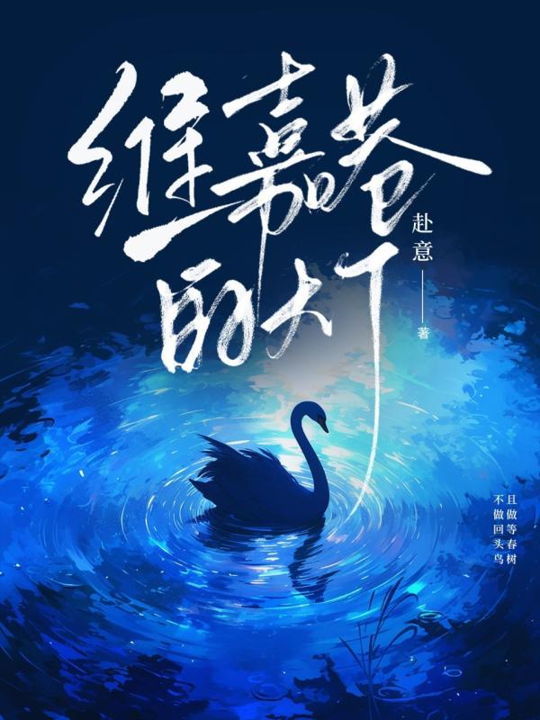 维嘉巷的灯