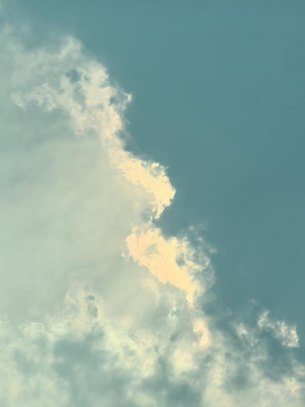 陌上秋望