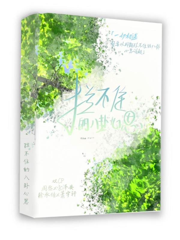 拦不住的八卦心思