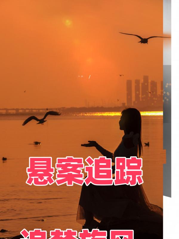 ����׷��