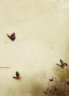 �����İ�
