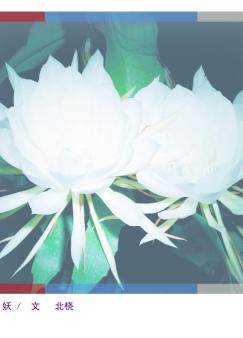 꼻�������