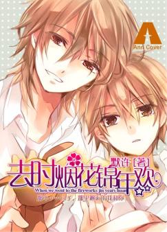 去时烟花锦年欢