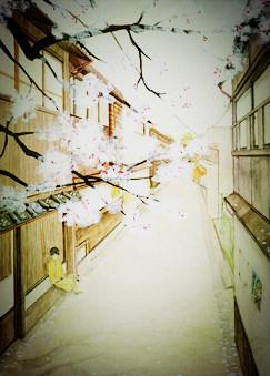 ��������«ݶ��