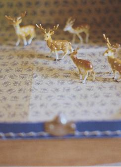 ���粻�����ɫGL