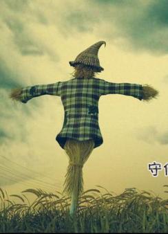 爱我吧！稻草人