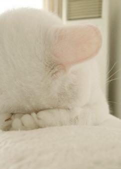 �����㣬˭��ϧ