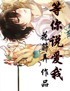 ����˵����