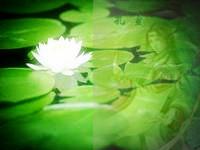 �������֮����Ҳcp