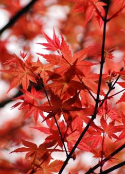 ϣ����Ҳ�ܹ�֪��