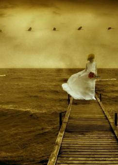 ���˻�����