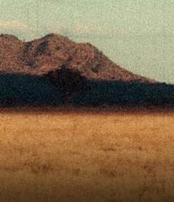 ����Ҫǣ��