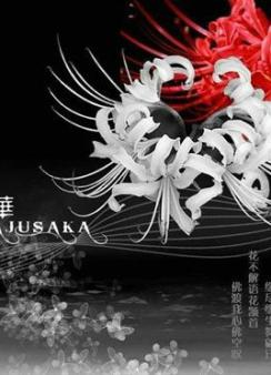 �˰�����