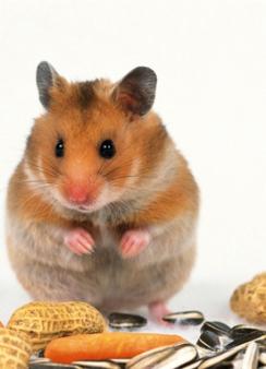 ����֮���ϵ��