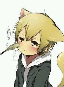 ����ѧ����С��ѧ��