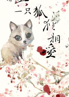 请与一只狐狸相爱