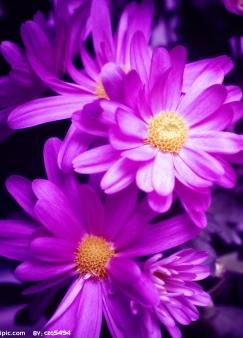 ����괺���껨