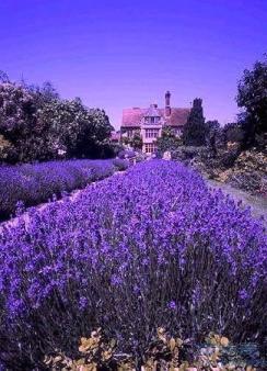 你说的:一切都好