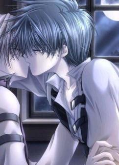 �ϵ��������������