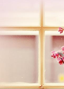 心碎了,能合上吗