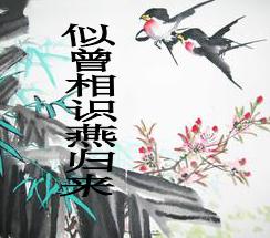 ������ʶ�����