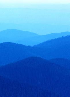 ĩ��֮��������