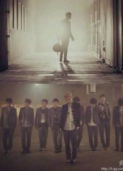 EXO֮��������