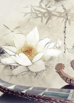 ���׾���