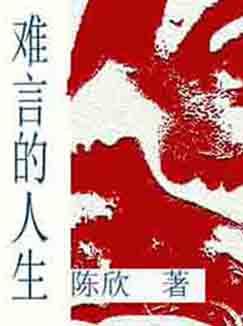 难言的人生
