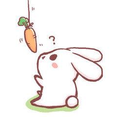 ½��������������