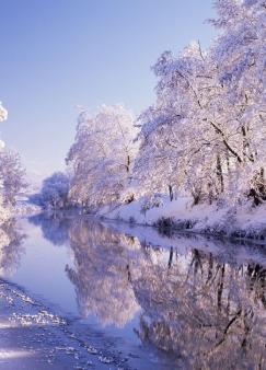 תѧ������